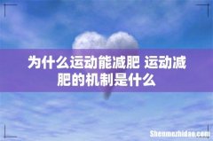 为什么运动能减肥 运动减肥的机制是什么