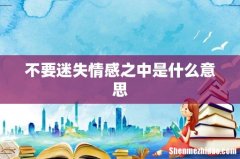 不要迷失情感之中是什么意思