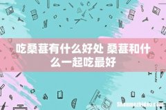 吃桑葚有什么好处 桑葚和什么一起吃最好