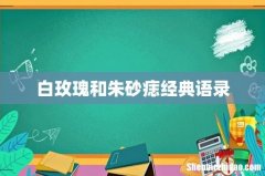 白玫瑰和朱砂痣经典语录