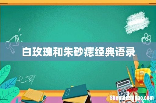 白玫瑰和朱砂痣经典语录