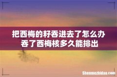 把西梅的籽吞进去了怎么办 吞了西梅核多久能排出