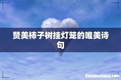 赞美柿子树挂灯笼的唯美诗句