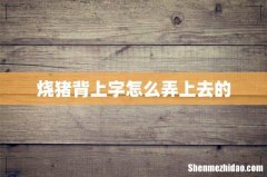 烧猪背上字怎么弄上去的