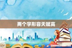 两个字形容天赋高
