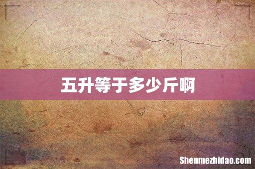 五升等于多少斤啊