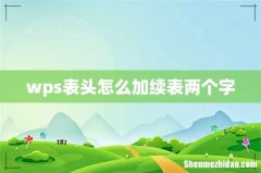 wps表头怎么加续表两个字