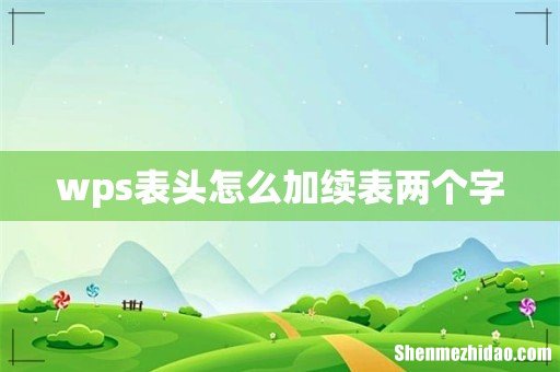 wps表头怎么加续表两个字