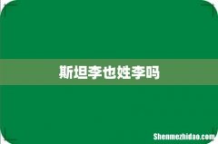 斯坦李也姓李吗