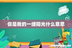 你是我的一缕阳光什么意思