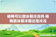 杨梅可以放冰箱冷冻吗 杨梅放冰箱冷藏还是冷冻