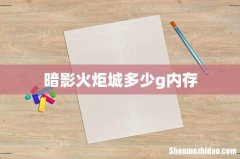 暗影火炬城多少g内存