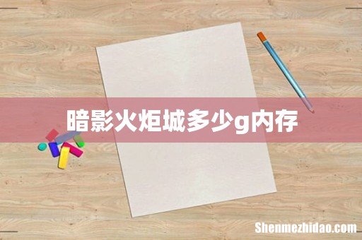 暗影火炬城多少g内存