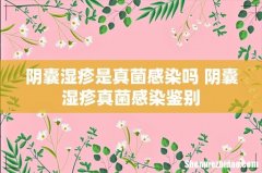 阴囊湿疹是真菌感染吗 阴囊湿疹真菌感染鉴别