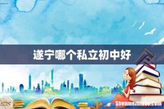遂宁哪个私立初中好