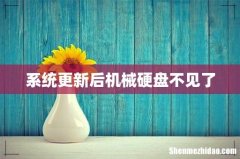 系统更新后机械硬盘不见了