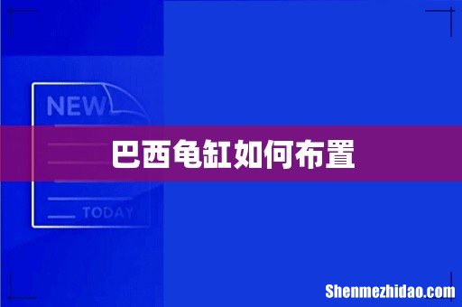 巴西龟缸如何布置