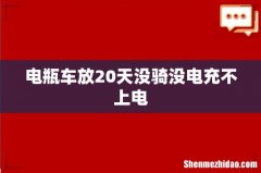 电瓶车放20天没骑没电充不上电