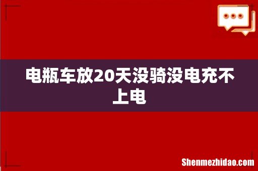 电瓶车放20天没骑没电充不上电