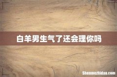 白羊男生气了还会理你吗