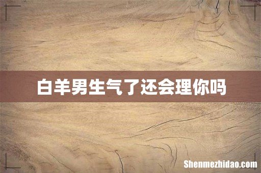 白羊男生气了还会理你吗