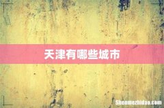 天津有哪些城市