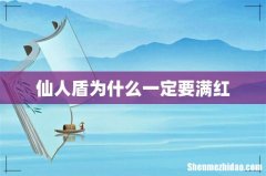 仙人盾为什么一定要满红