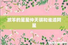放羊的星星仲天骐和谁追阿星