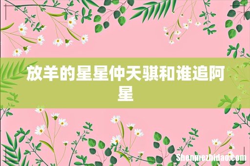 放羊的星星仲天骐和谁追阿星