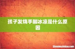 孩子发烧手脚冰凉是什么原因