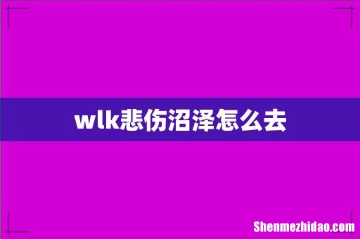 wlk悲伤沼泽怎么去