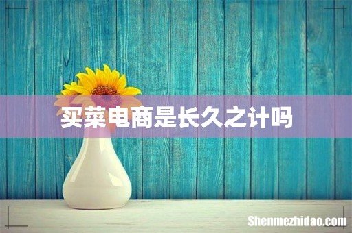 买菜电商是长久之计吗