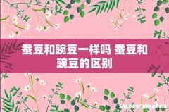 蚕豆和豌豆一样吗 蚕豆和豌豆的区别
