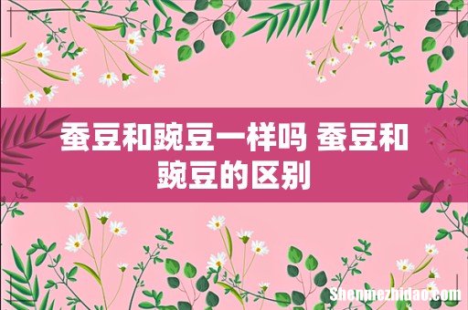 蚕豆和豌豆一样吗 蚕豆和豌豆的区别