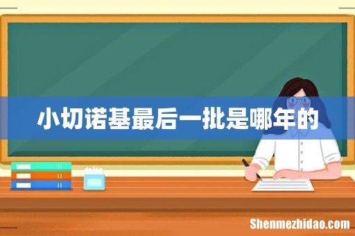 小切诺基最后一批是哪年的