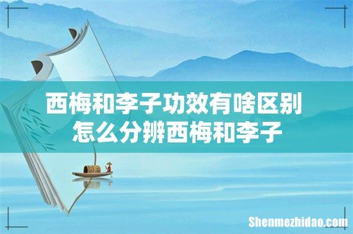 西梅和李子功效有啥区别 怎么分辨西梅和李子