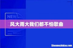 风大雨大我们都不怕歌曲