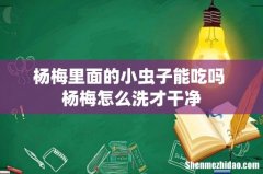 杨梅里面的小虫子能吃吗 杨梅怎么洗才干净