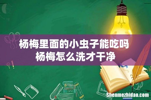杨梅里面的小虫子能吃吗 杨梅怎么洗才干净