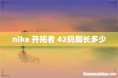 nike 开拓者 42码脚长多少