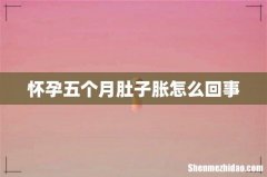 怀孕五个月肚子胀怎么回事