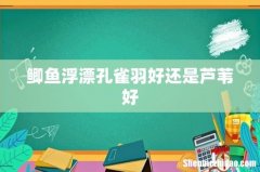 鲫鱼浮漂孔雀羽好还是芦苇好