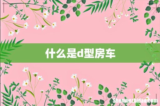 什么是d型房车
