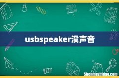 usbspeaker没声音
