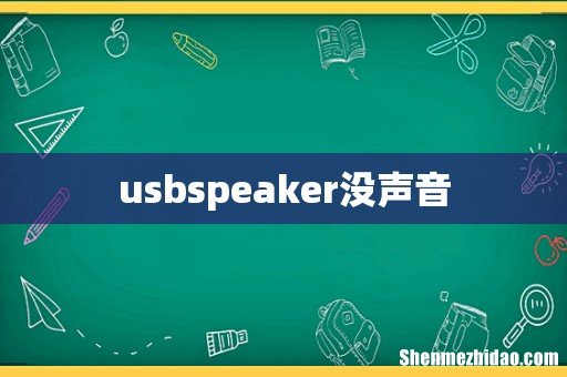 usbspeaker没声音