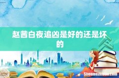 赵茜白夜追凶是好的还是坏的