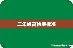 三年级高抬腿标准