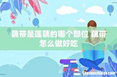 藕带是莲藕的哪个部位 藕带怎么做好吃