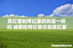 蒸红薯和烤红薯的热量一样吗 减肥吃烤红薯还是蒸红薯