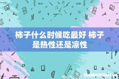 柿子什么时候吃最好 柿子是热性还是凉性